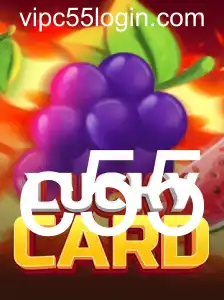Tudo o que você precisa saber sobre o jogo de cartas 'LuckyCard'